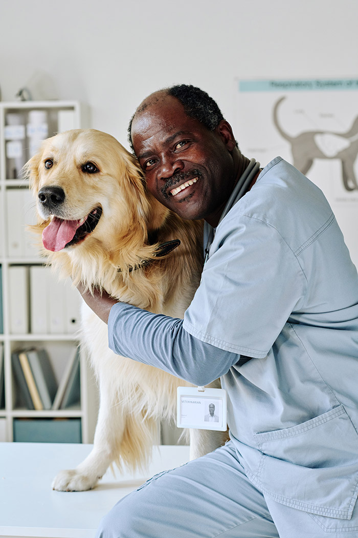 OfferFirst Veterinarian Professional looking for a Job
